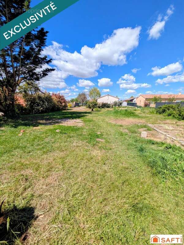 Terrain 550 m² à Dieupentale  - photo 3