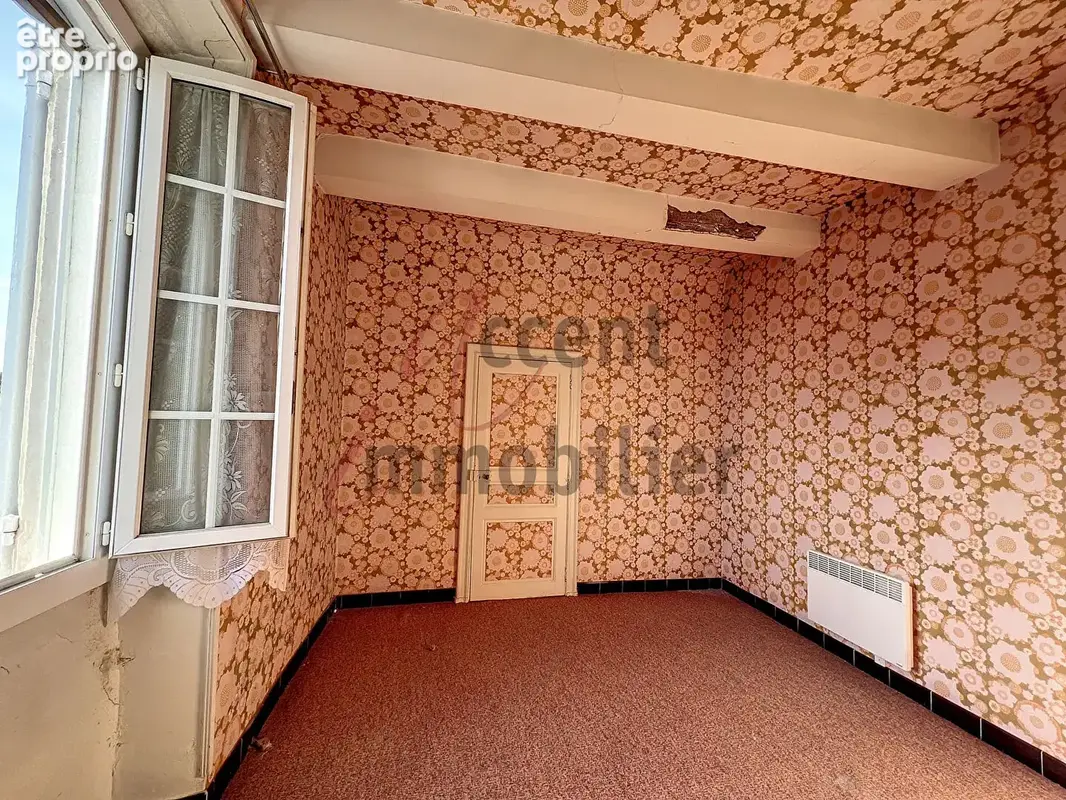 Cabannes : Ensemble immobilier Maison bourgeoise et immense Grange - photo 9