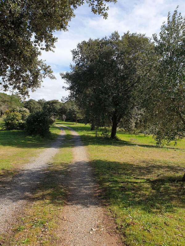 Maison à VILLEGAILHENC