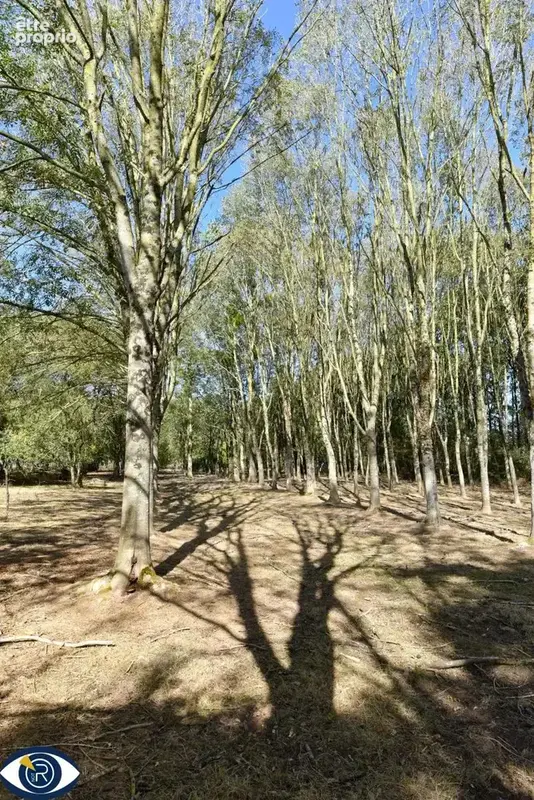 Terrain 29 107 m² à vendre à Vaiges (53480) - photo 8