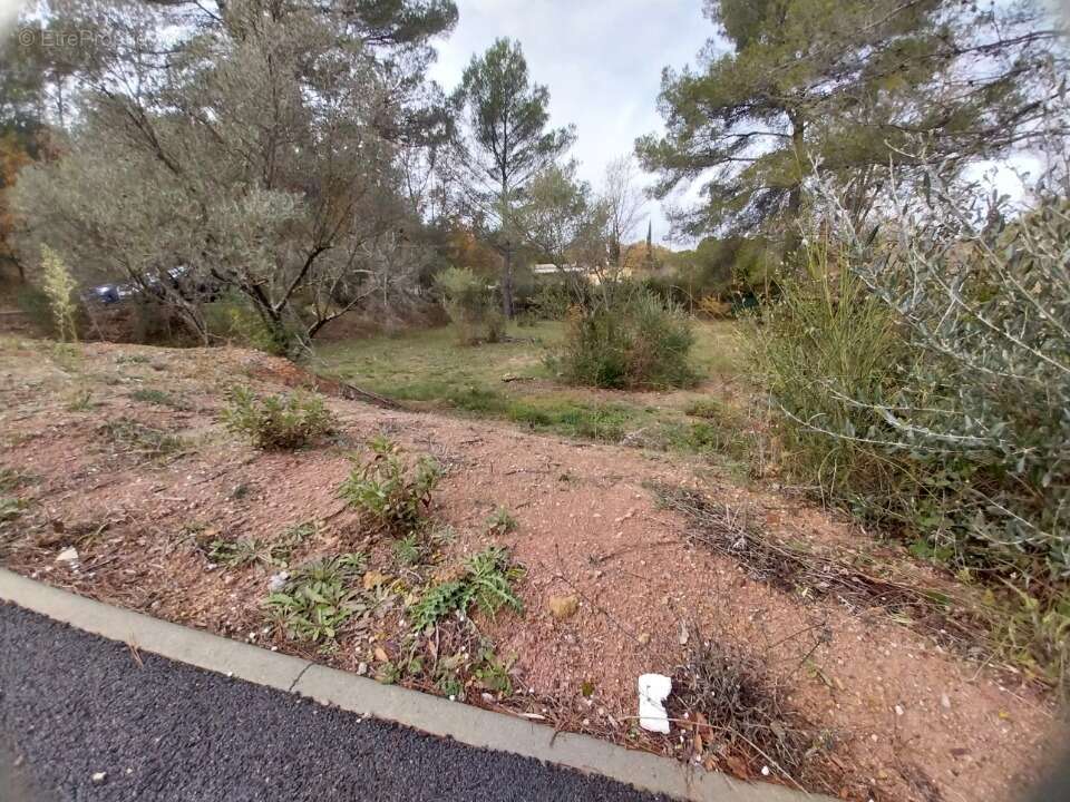 Terrain 1037 m² à Salernes  - photo 3