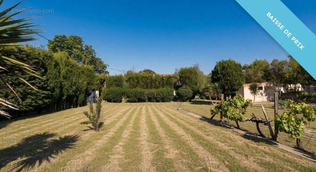 Villa de 160 m² avec dépendance, piscine sur terrain arboré de 1 - photo 13