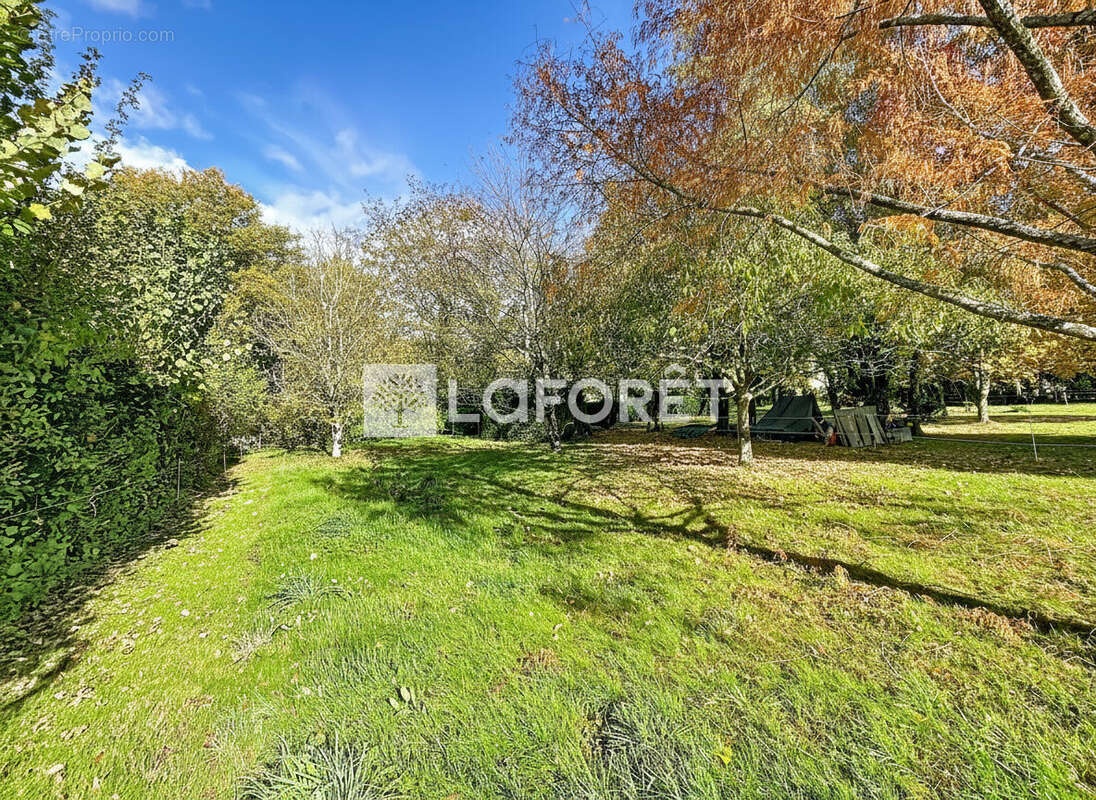 Terrain à SAINTE-MARIE