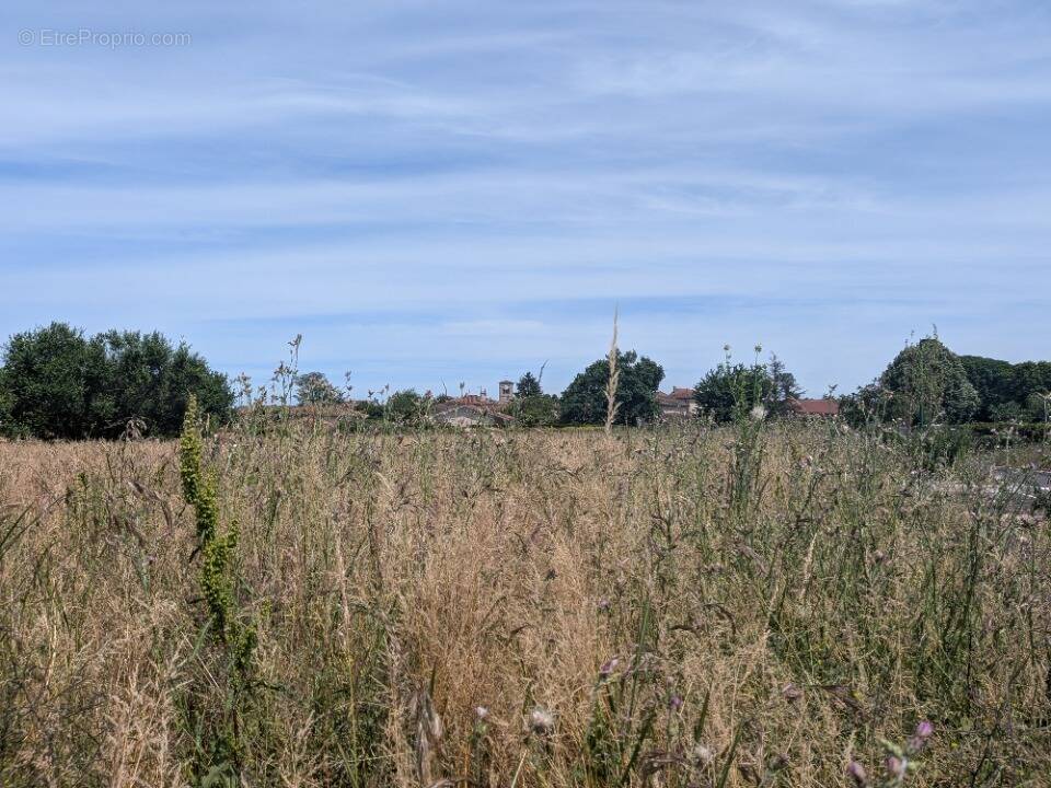 Terrain à VILLENEUVE