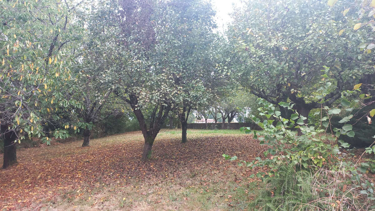 Maison à AICIRITS-CAMOU-SUHAST