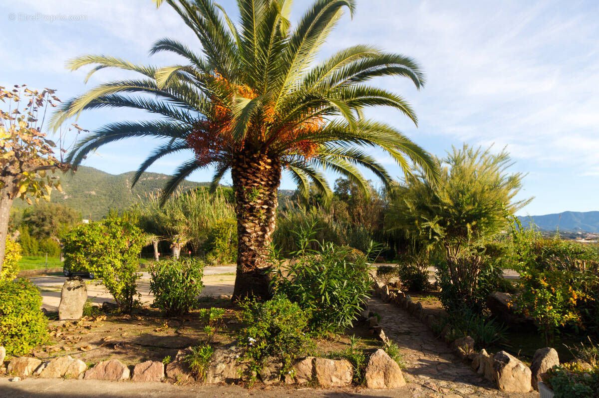 Appartement à PROPRIANO