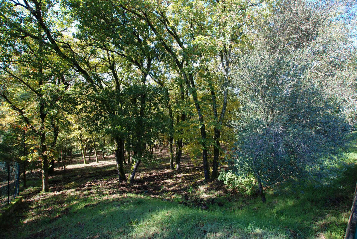 Terrain à SOUILLAC
