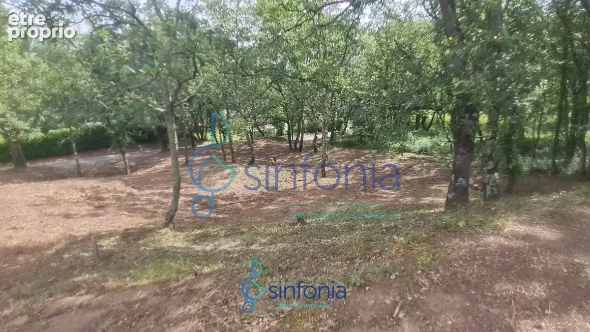 Terrain constructible à vendre à Pougnadoresse Gard 30 Occitanie - photo 12