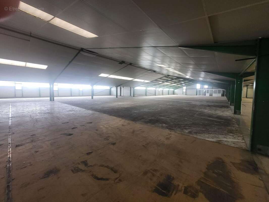 Photo 3 - Commerce à CASTETS-EN-DORTHE