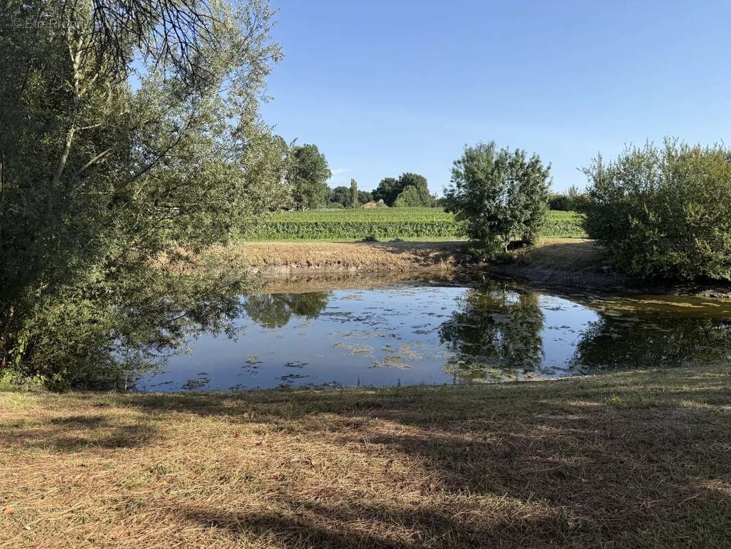 FERME de 248m² - 1hectare48a78ca avec étangs - photo 14
