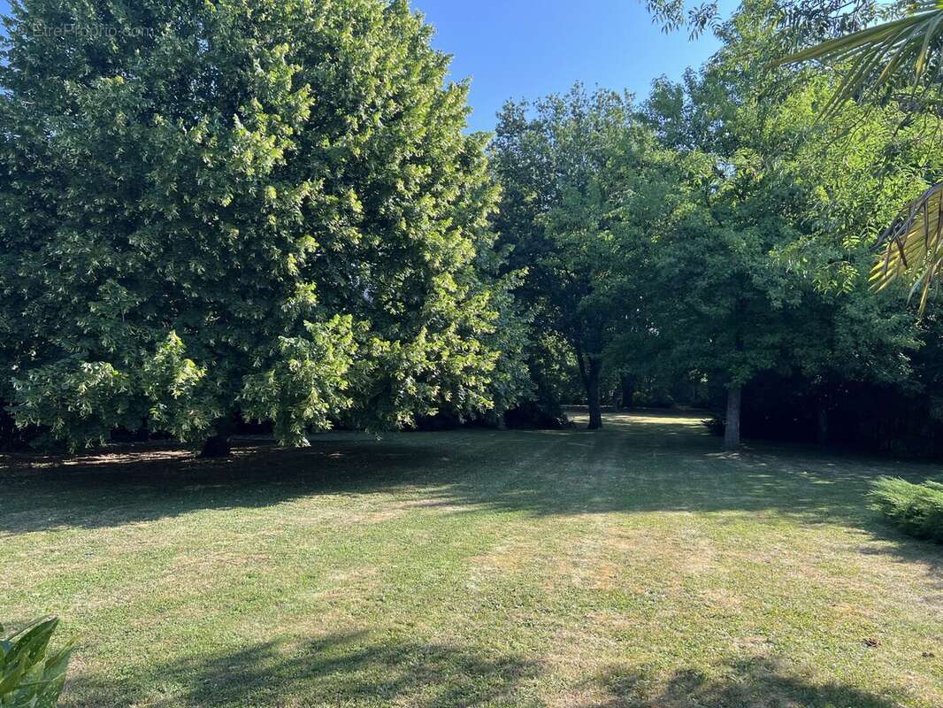 Maison 293 m² à Frieres-Faillouel  - photo 2