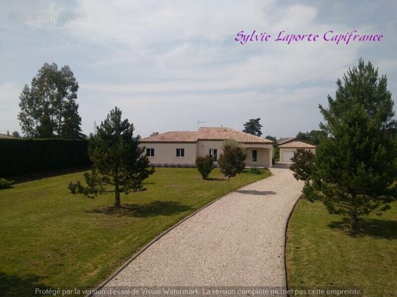 Maison à vendre 6 pièces SAINTE LIVRADE SUR LOT (47)Sainte-Livrade-sur-Lot – Belle propriété familiale sur 3 000 m² de terrain a - photo 27