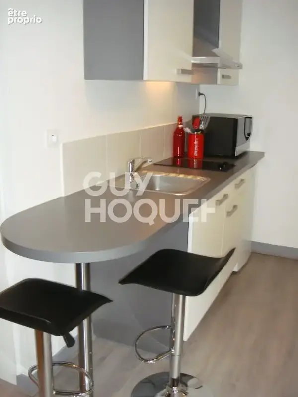 Immeuble de caractère, Orleans Centre - 5 lots - photo 9
