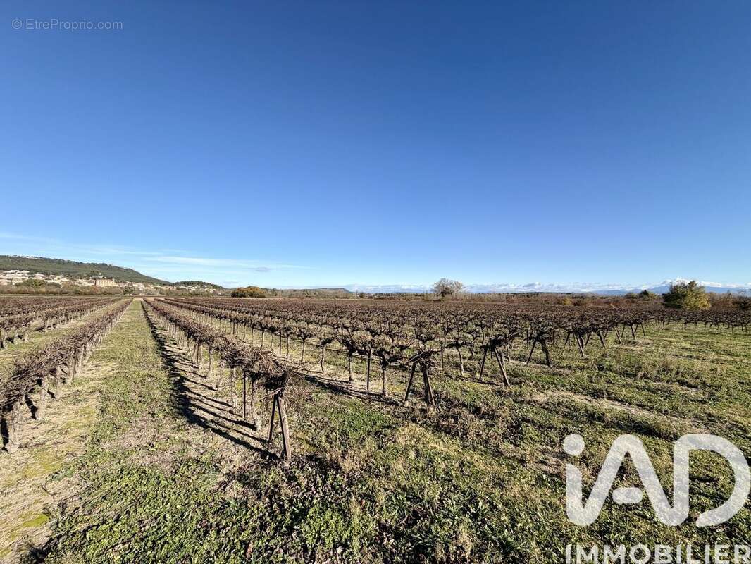 Photo 2 - Terrain à LAUDUN-L'ARDOISE