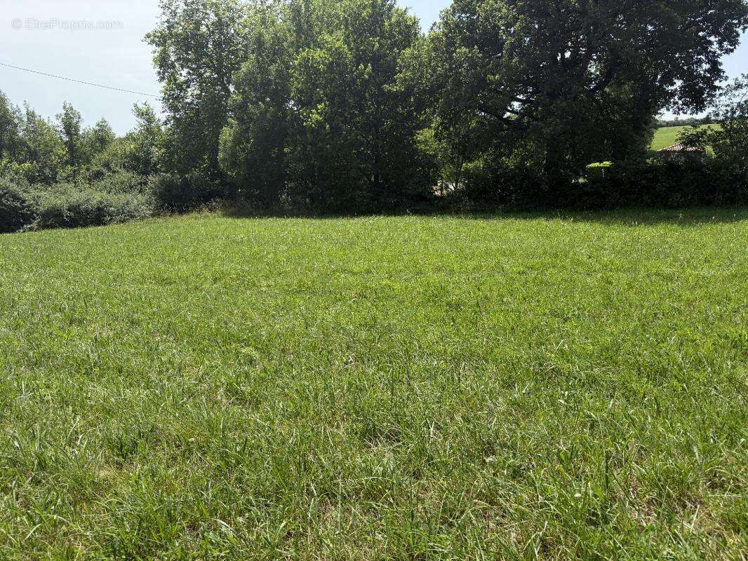 Terrain à LABECEDE-LAURAGAIS