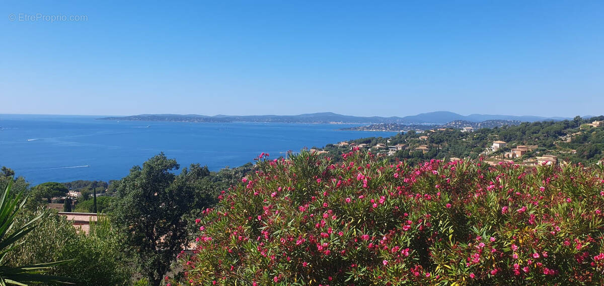 Maison à LES ISSAMBRES