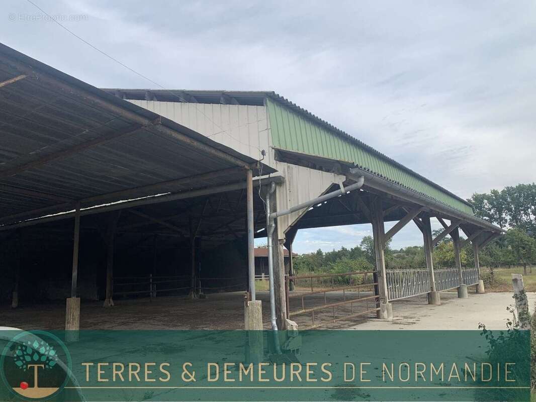 Maison à SAINT-PIERRE-SUR-DIVES