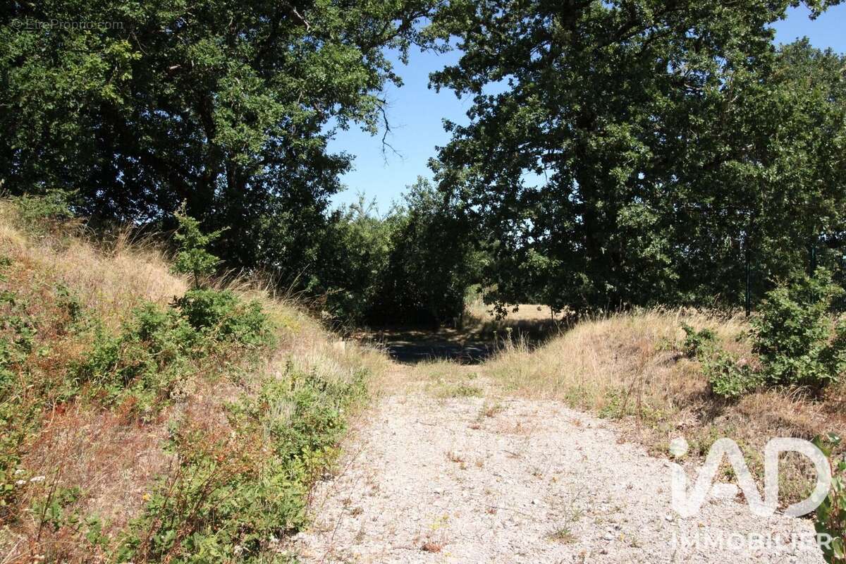 Photo 3 - Terrain à LA SAUZIERE-SAINT-JEAN