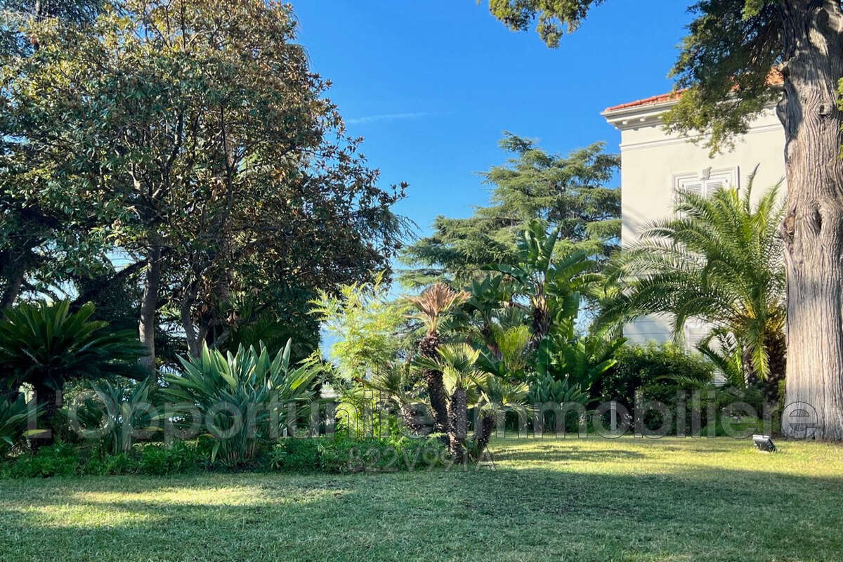 Appartement 38 m² à Cannes  - photo 9