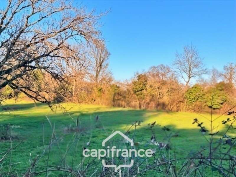 Terrain à vendre  POISEUX (58) - photo 3