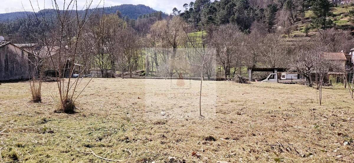 Terrain à CHAMBORIGAUD