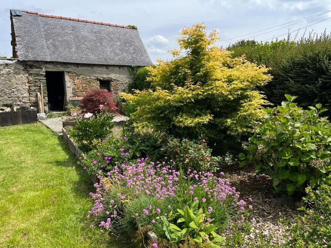 Photo 7 - Maison à BELLE-ISLE-EN-TERRE