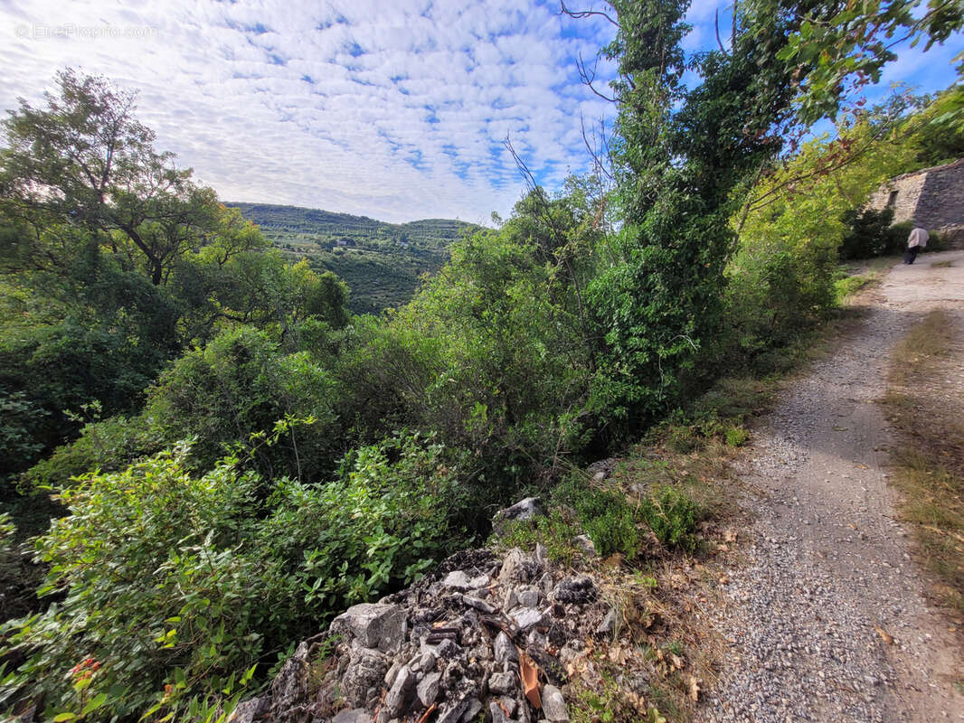 Terrain à BEDARIEUX