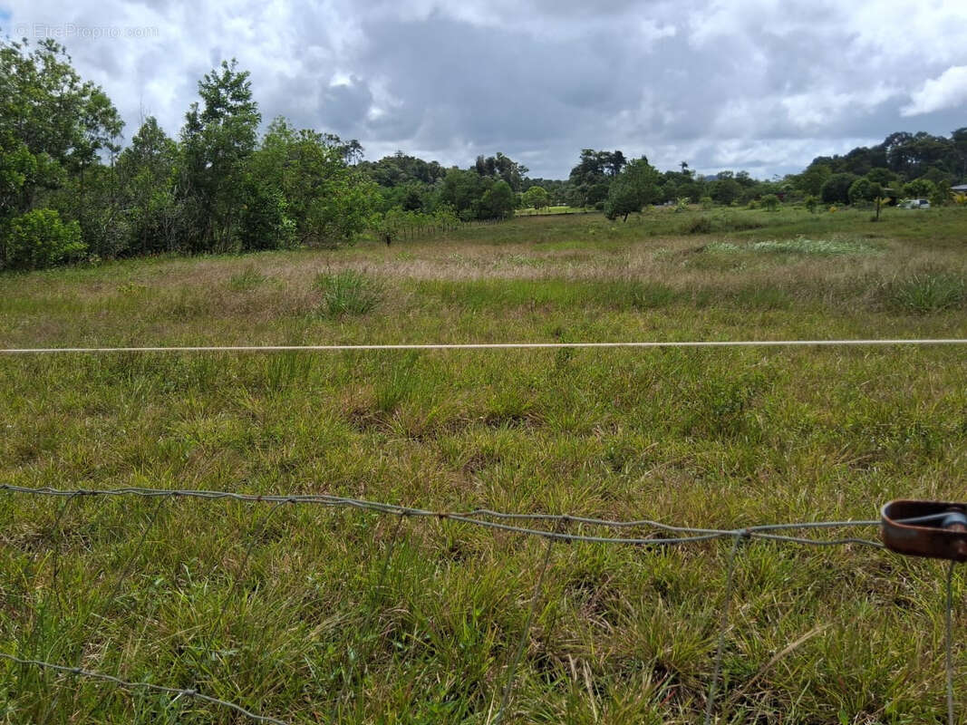 Terrain à KOUROU