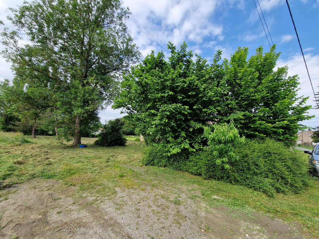 Terrain à SAINT-CIERS-SUR-GIRONDE