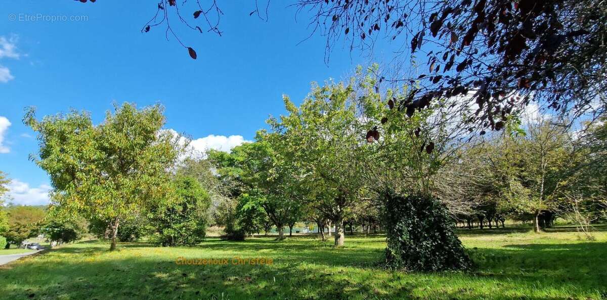 24290 Sergeac : Ensemble immobilier en pierre du pays - photo 15