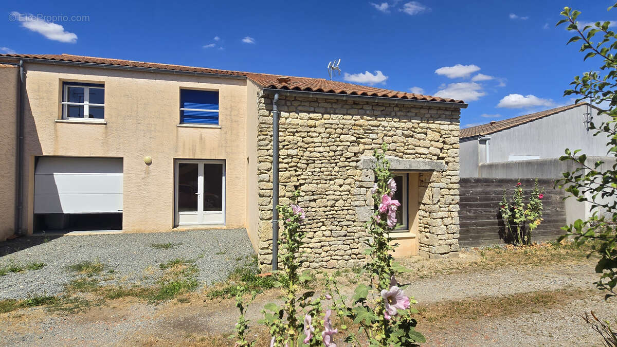 Cire d'aunis - photo 13