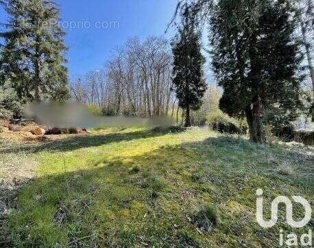 Photo 4 - Terrain à BETHEMONT-LA-FORET