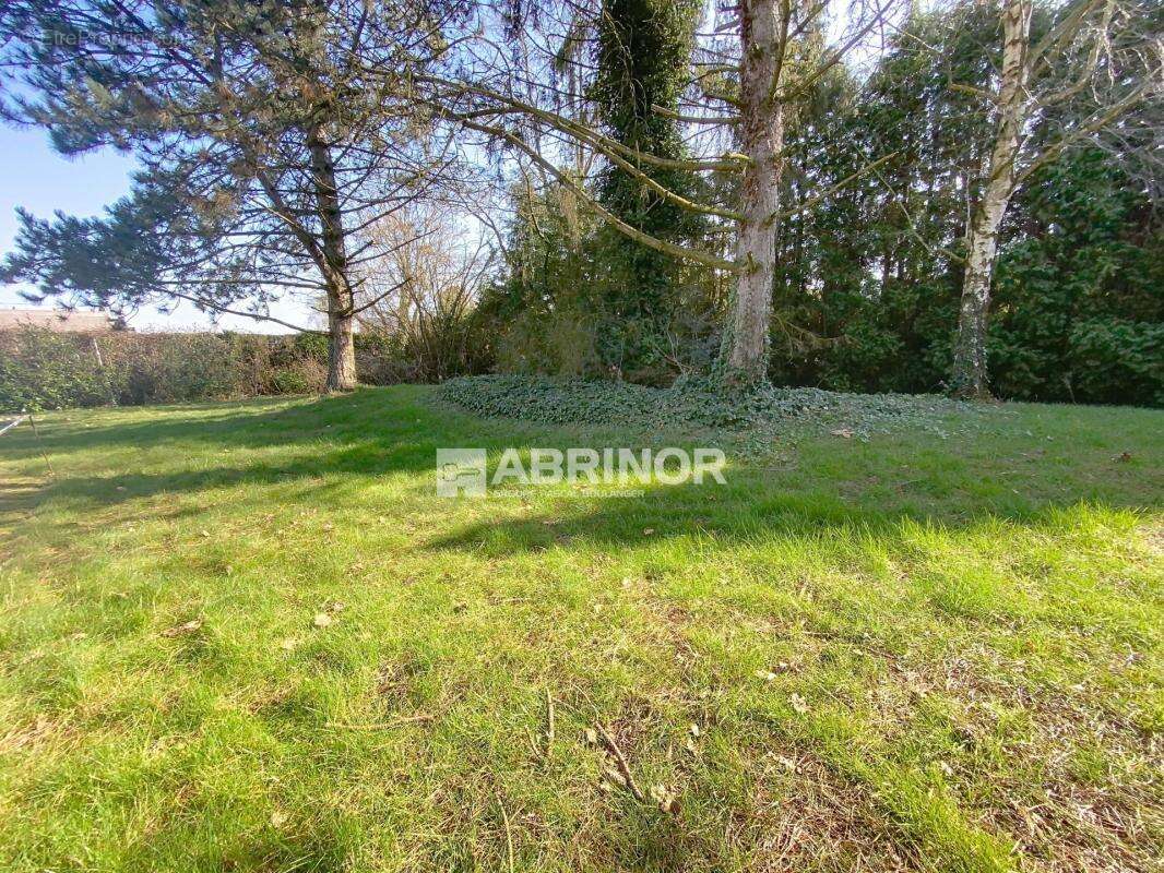 Terrain à TEMPLEUVE