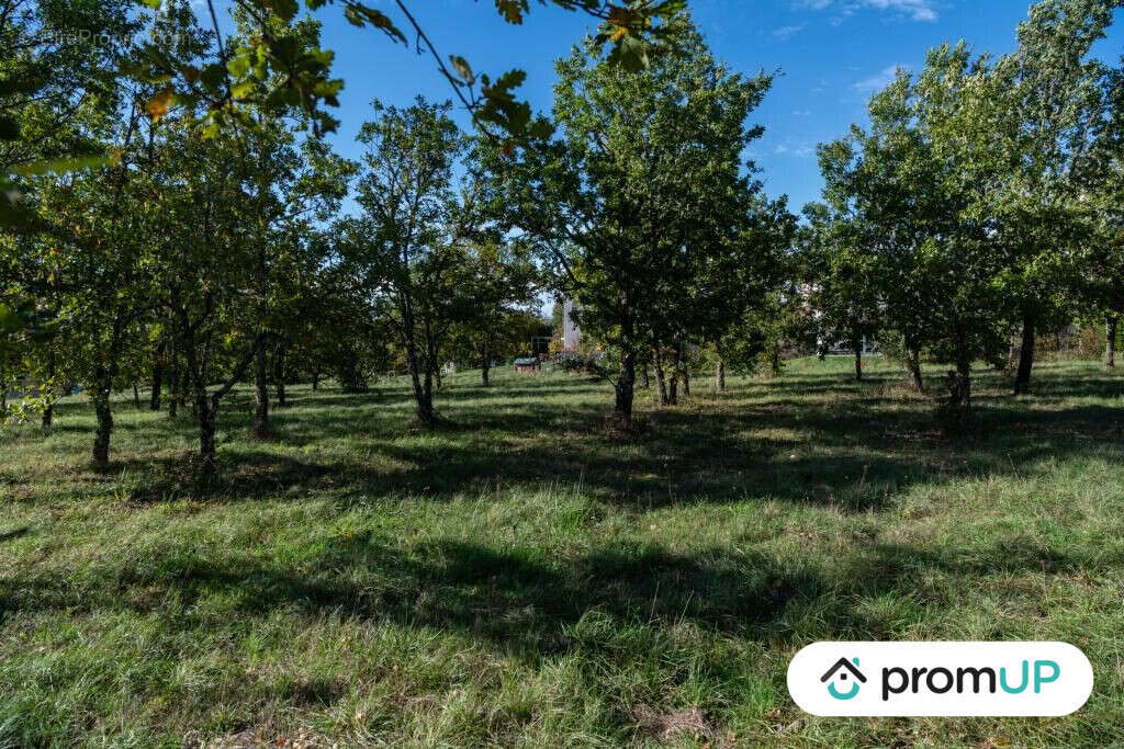 Terrain à LALBENQUE