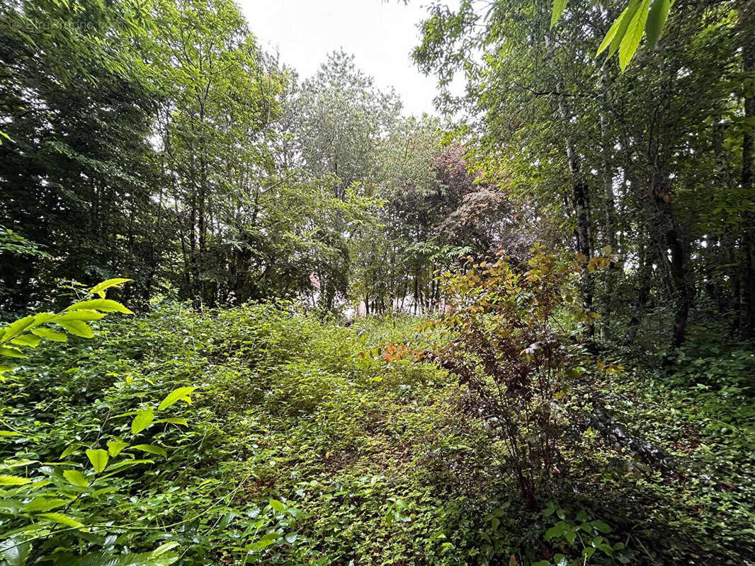 Terrain à LADIGNAC-LE-LONG