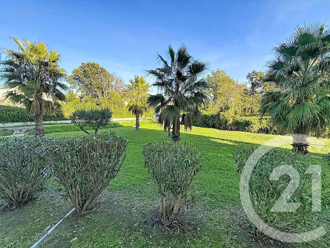 Appartement à SAN-NICOLAO