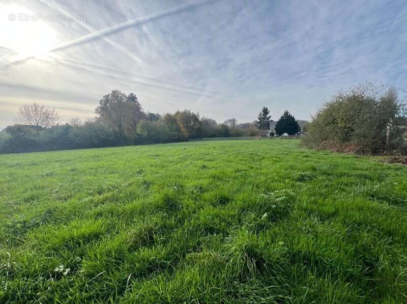 Terrain à BREUIL-LE-VERT