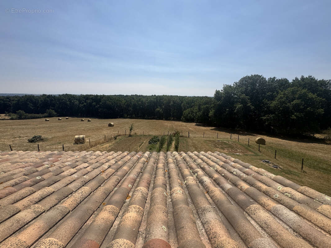 Propriété d'exception 203 m2 & Dépendances de 215 m2 - photo 21