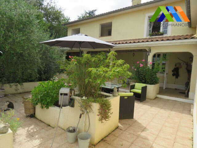 Maison 384 m² à Saint-Plancard  - photo 2