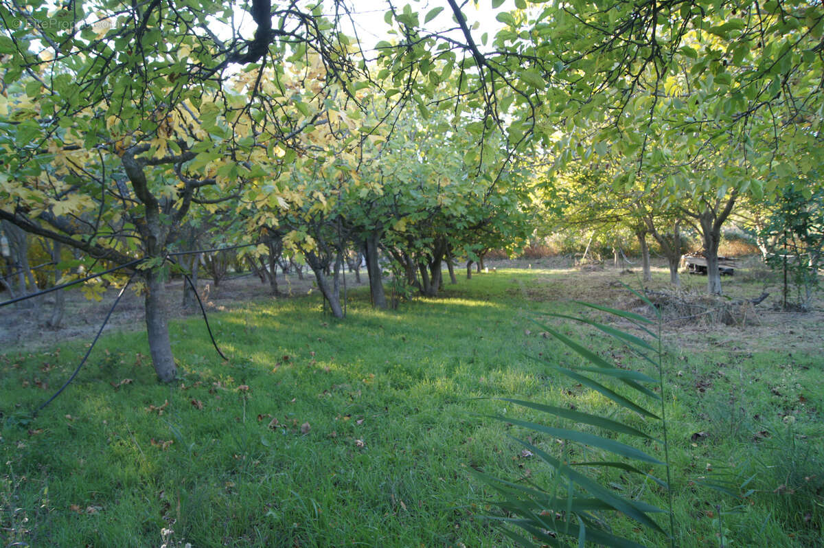Terrain à SAINT-RESTITUT