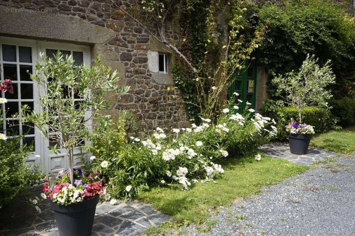 Maison à QUETTREVILLE-SUR-SIENNE