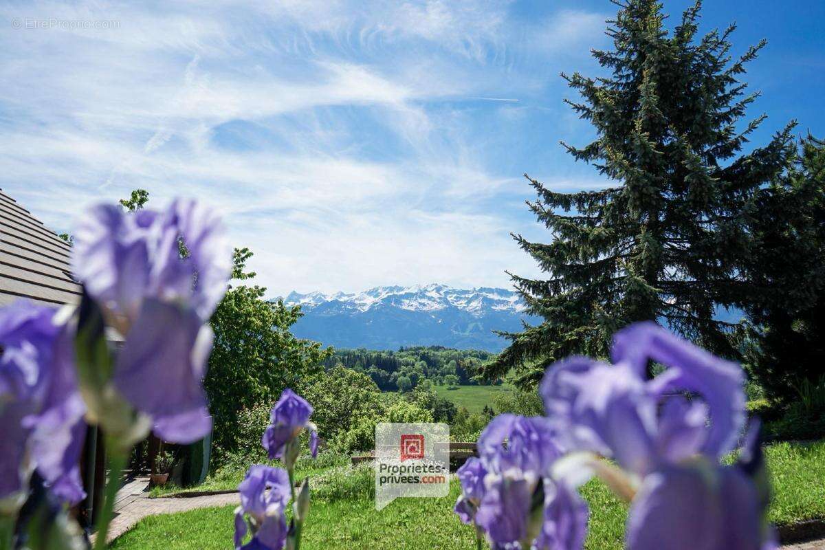 Plateau des Petites Roches (38660) - Chalet T6 en madriers + studio + carport + jardin - photo 2