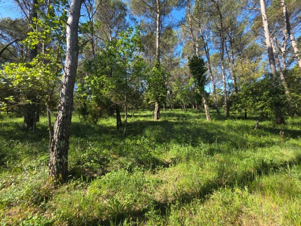 Terrain 847 m² à Gareoult  - photo 8