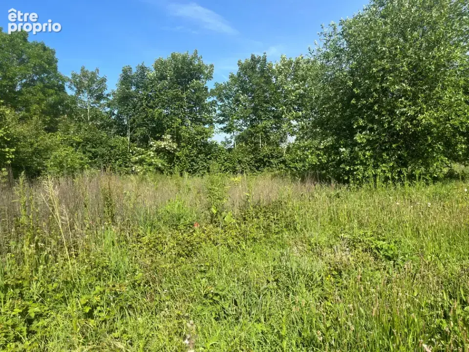 Terrain à LAMOTTE-BULEUX