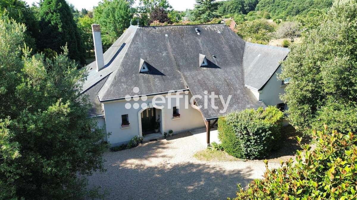 Maison 300 m² à Fondettes  - photo 20