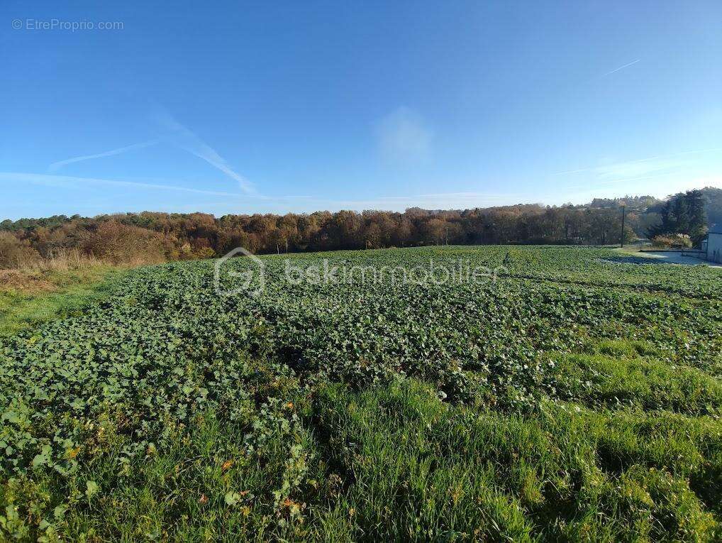Maison à EPEIGNE-LES-BOIS