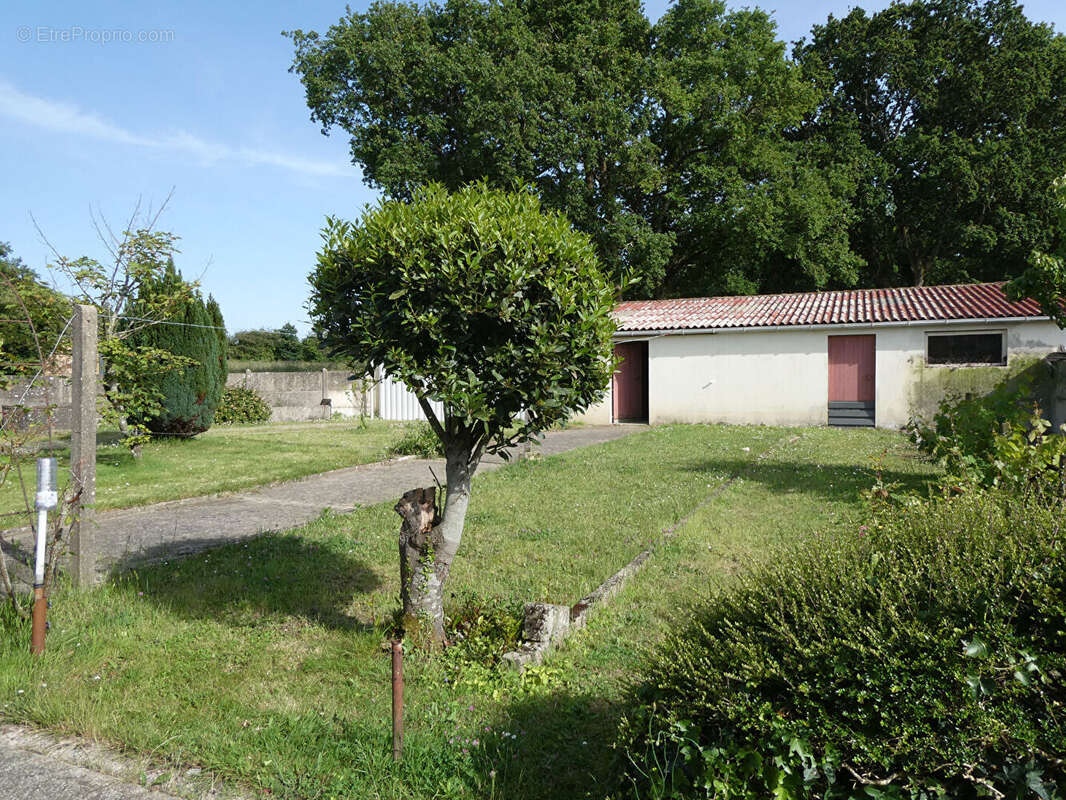 Maison à SAINT-PERE-EN-RETZ