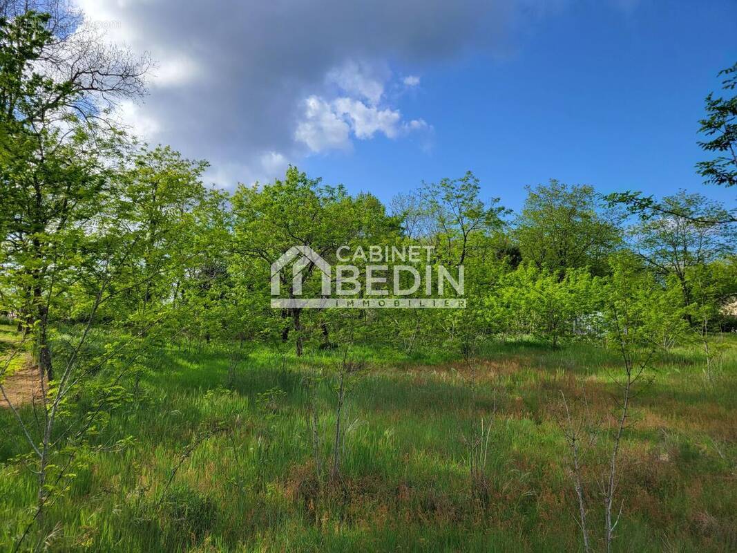 Terrain à BELIN-BELIET
