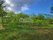 Terrain à BELIN-BELIET