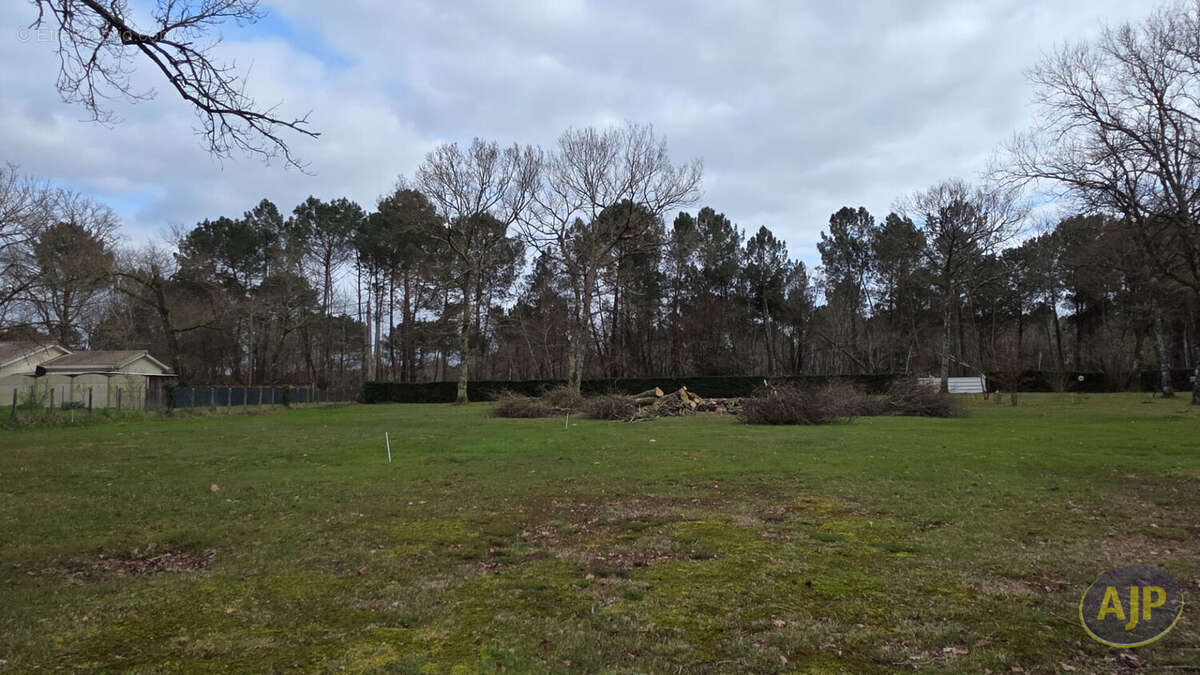 Terrain à SAINT-JEAN-D'ILLAC